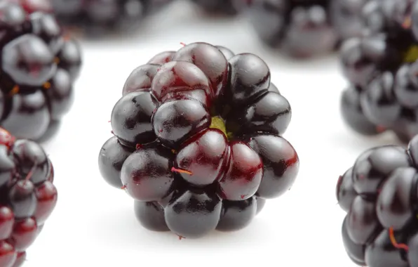 Berries, BlackBerry, appetizing, blackberries