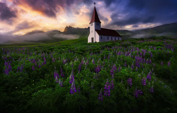 Nature, Iceland, Church of Vik