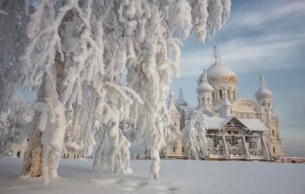 Picture winter, snow, trees, landscape, tree, temple, the monastery, Belogorye