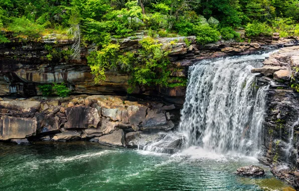 Picture greens, stones, waterfall, the bushes
