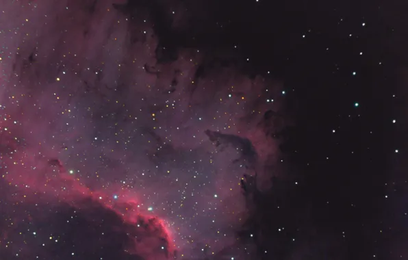Nebula, Swan, North America, in the constellation, emission, NGC 7000