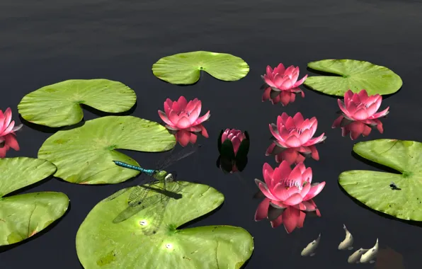 Leaves, fish, flowers, nature, pond, dragonfly