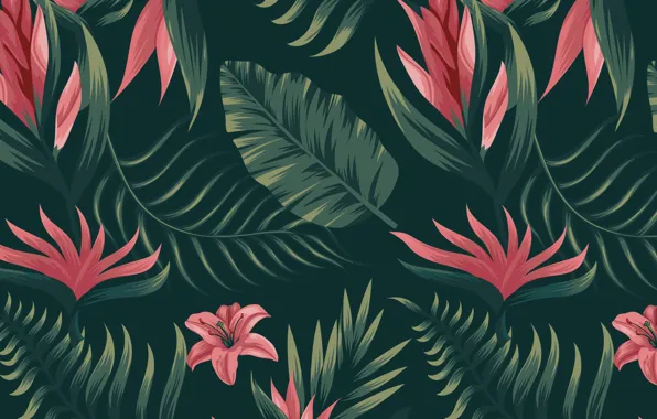 Picture background, texture, Flower, flowers, pattern, Background, Tropical, Pattern