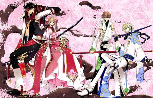 Girl, tree, anime, Sakura, guys, swords, chronicle of the wings, Tsubasa Chronicle