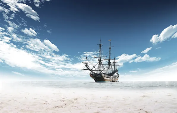 Sea, the ocean, shore, cerebri