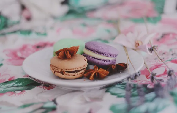 Picture the sweetness, cookies, macaron