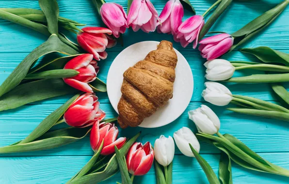 Flowers, colorful, tulips, pink, white, white, fresh, wood