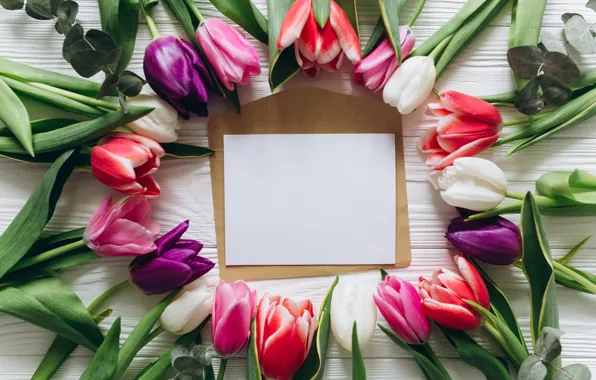 Picture flowers, colorful, tulips, pink, white, white, fresh, wood