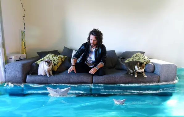Cat, water, room, sofa, people