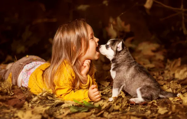 Picture child, dog, girl, puppy, friends, husky