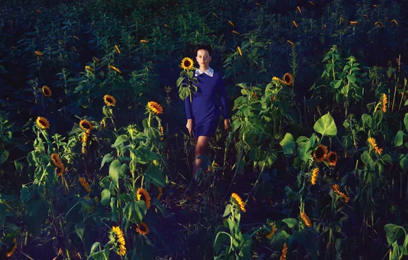 Field, the sun, sunflowers, dress, Katy Perry