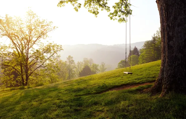 Picture grass, trees, landscape, nature, swing