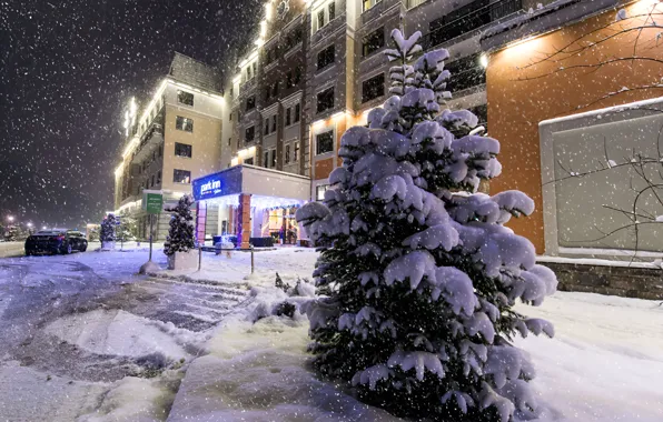 The evening, Snow, Snow, Evening, Sochi, Sochi, Rosa Khutor, Rosa Khutor