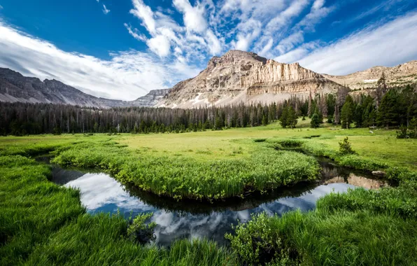 Picture mountains, landscape, hdr, USA