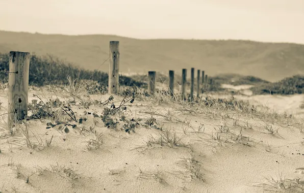 Picture nature, the fence, dunes