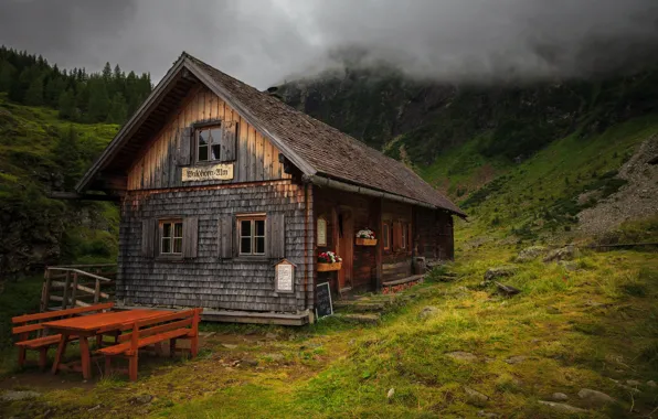 Forest, grass, mountains, fog, house, table, smoke, slope