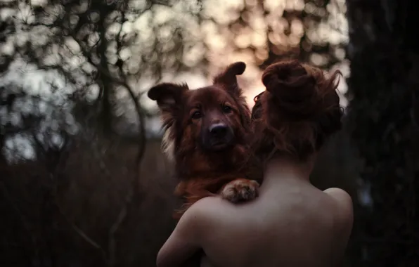 Picture girl, love, forest, dog, sundown, bokeh, hair, back