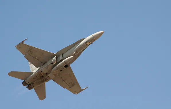 The sky, the plane, F/A-18 Hornet, McDonnel Douglas