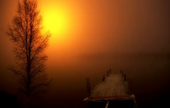 Picture landscape, night, bridge, fog, tree