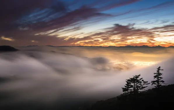 Picture forest, the sky, clouds, trees, landscape, sunset, mountains, nature