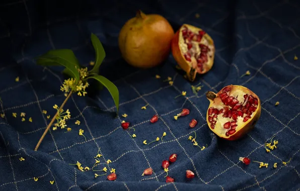 The dark background, branch, fabric, flowers, grenades, composition, pomegranate grains