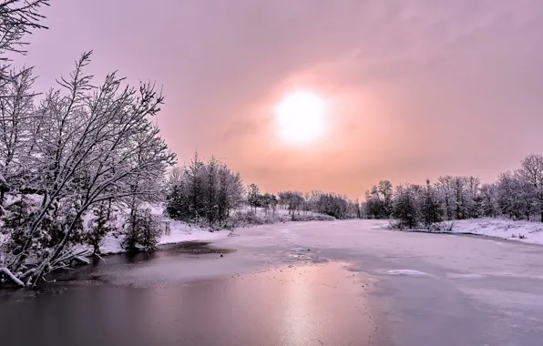 Ice, winter, forest, the sun, clouds, snow, river