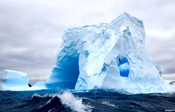 Picture sea, iceberg, krasibo