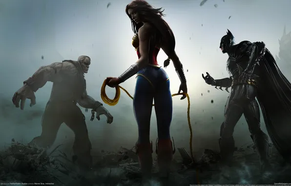 Picture Hero, NetherRealm Studios, Injustice:God Among Us, Warner Bros.Interactive
