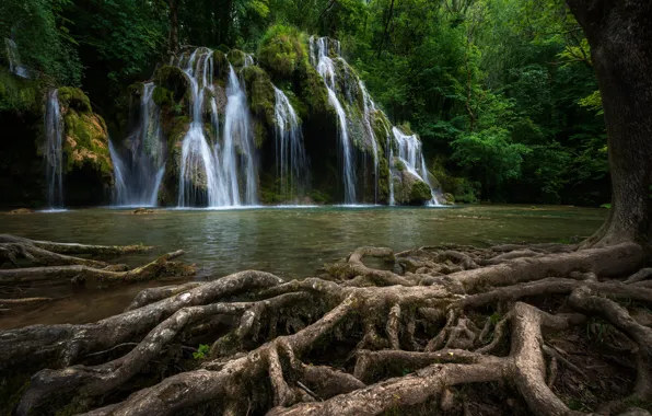 Roots, river, tree, France, waterfall, cascade, France, Waterfall Tuffs