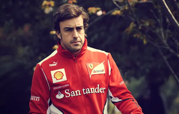 Picture Ferrari, Formula 1, Ferrari, pilot, Formula 1, Fernando Alonso, Fernando Alonso