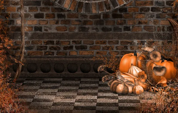 Picture autumn, wall, holiday, web, pumpkin, Halloween, wall, Halloween