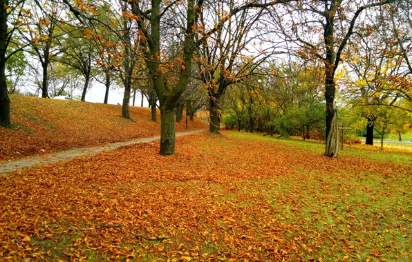 Picture Autumn, Trail, Park, Fall, Foliage, Park, Autumn, Colors