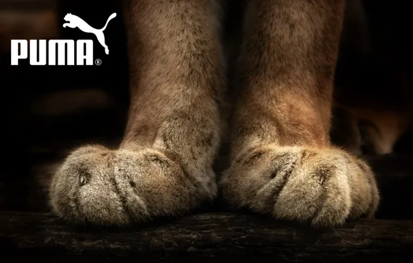 Wallpaper legs brand puma for mobile and desktop section resolution 1920x1200 download