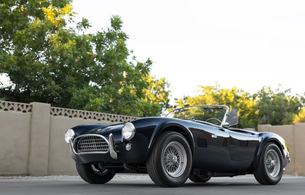 Black, Shelby, retro cars, 1963, Shelby Cobra, the only instance, Cobra 289, sports cars