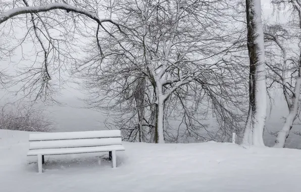 Winter, snow, bench