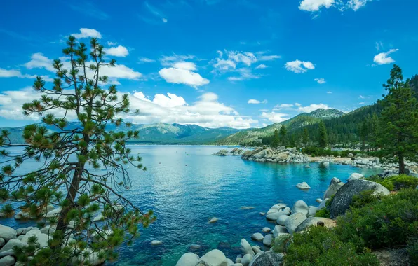 Trees, mountains, nature, stones, USA, Sierra Nevada, lake Tahoe