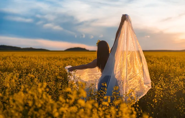 Field, the sky, girl, clouds, light, flowers, pose, back