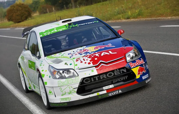 Picture Citroen, The hood, Citroen, Rally, The front, S. Loeb