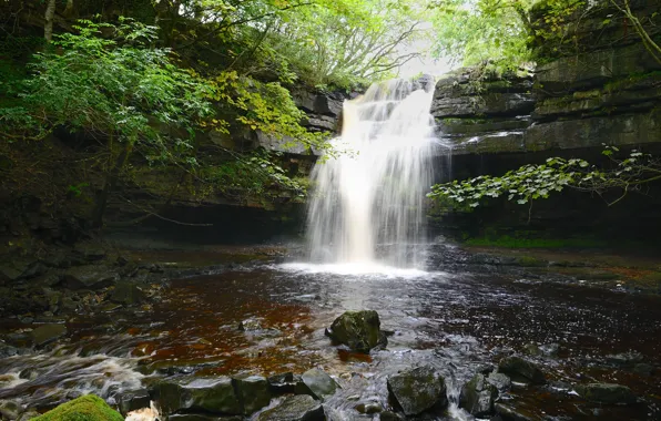 Trees, stones, waterfall, stream