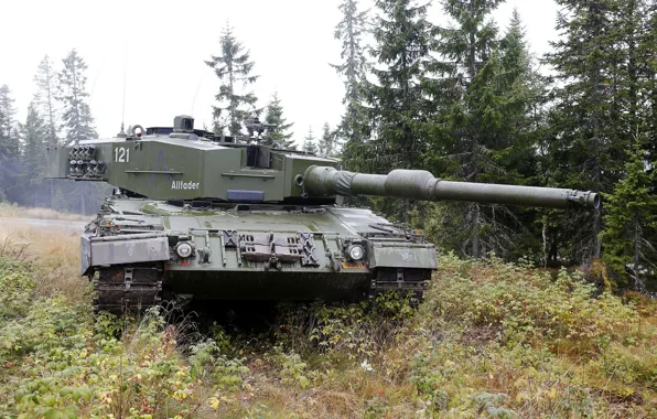 Picture forest, grass, tank, combat, armor, Leopard 2 A4
