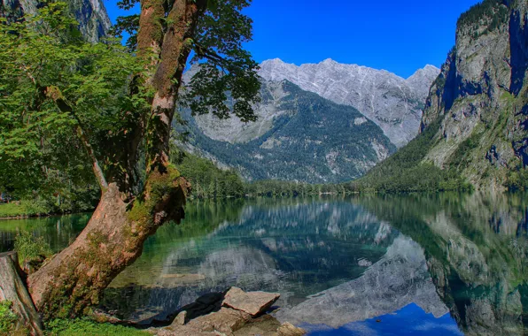 Mountains, lake, reflection, tree, Germany, Bayern, Germany, Bavaria