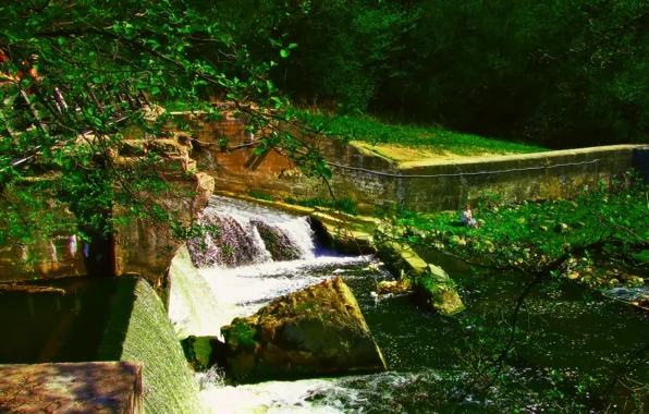 Picture greens, forest, water, waterfall, thresholds