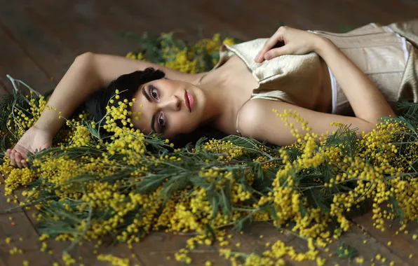 Look, girl, flowers, spring, dress, brunette, lies, Mimosa