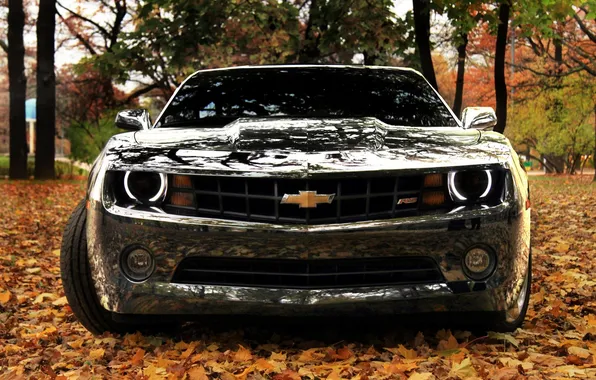 Autumn, leaves, Chevrolet, mirror