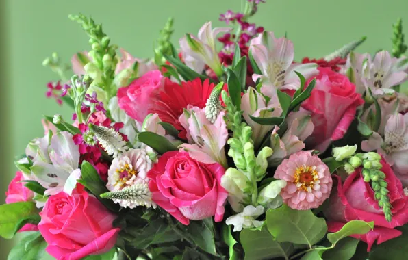 Picture flowers, background, roses, bouquet, composition, zinnia