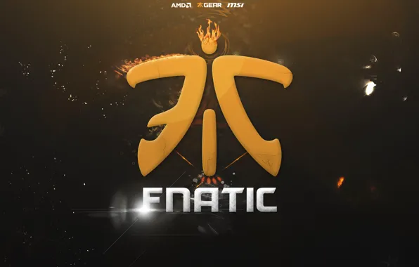 Team, Counter-Strike: Global Offensive, CS:GO, Fnatic, get_right, olofmeister, f0rest, Team Fnatic