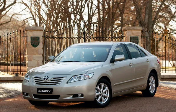 Street, sedan, Camry