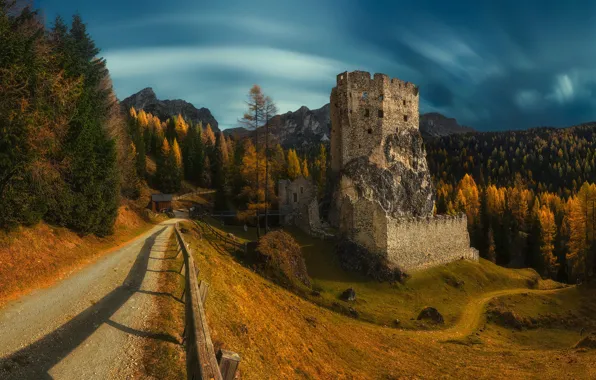 Road, autumn, forest, castle, ruins