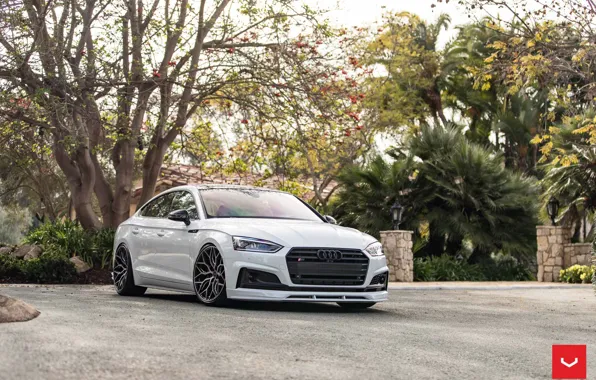 Picture Audi, Hybrid, Forged, Sportback, Vossen, Wheels, HF-2