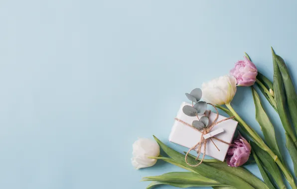Love, flowers, gift, tulips, love, pink, white, white